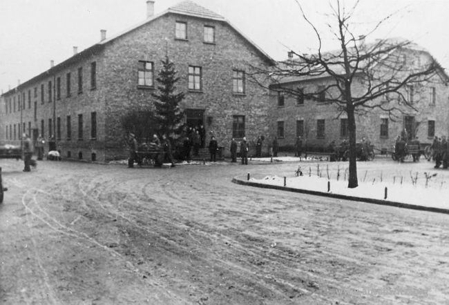 Àrbre de Nadal en Auschwitz (Auschwitz-Birkenau State Museum Archives), en http://en.auschwitz.org/m/index.php?option=com_ponygallery&Itemid=3&func=detail&id=773#ponyimg "il.lustració"